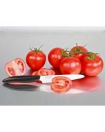 Hullster Tomato Corer – Chef'n
